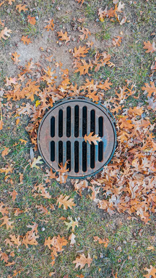 Round metal drain cover in a grassy yard with autumn leaves